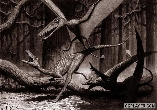 Pterosaurs-72.jpg