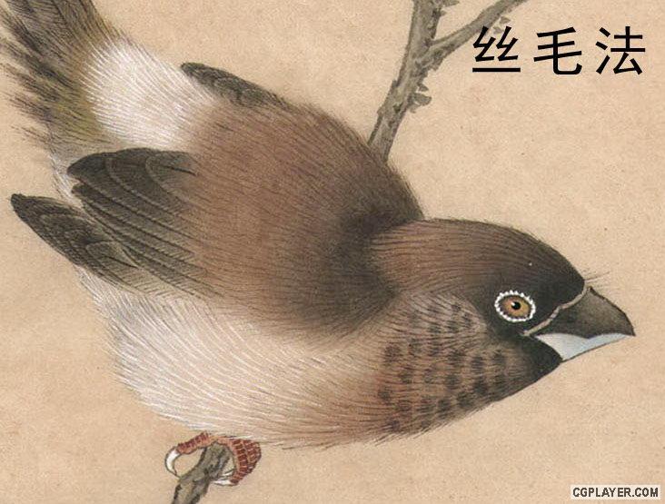 工笔画不同技法 转载