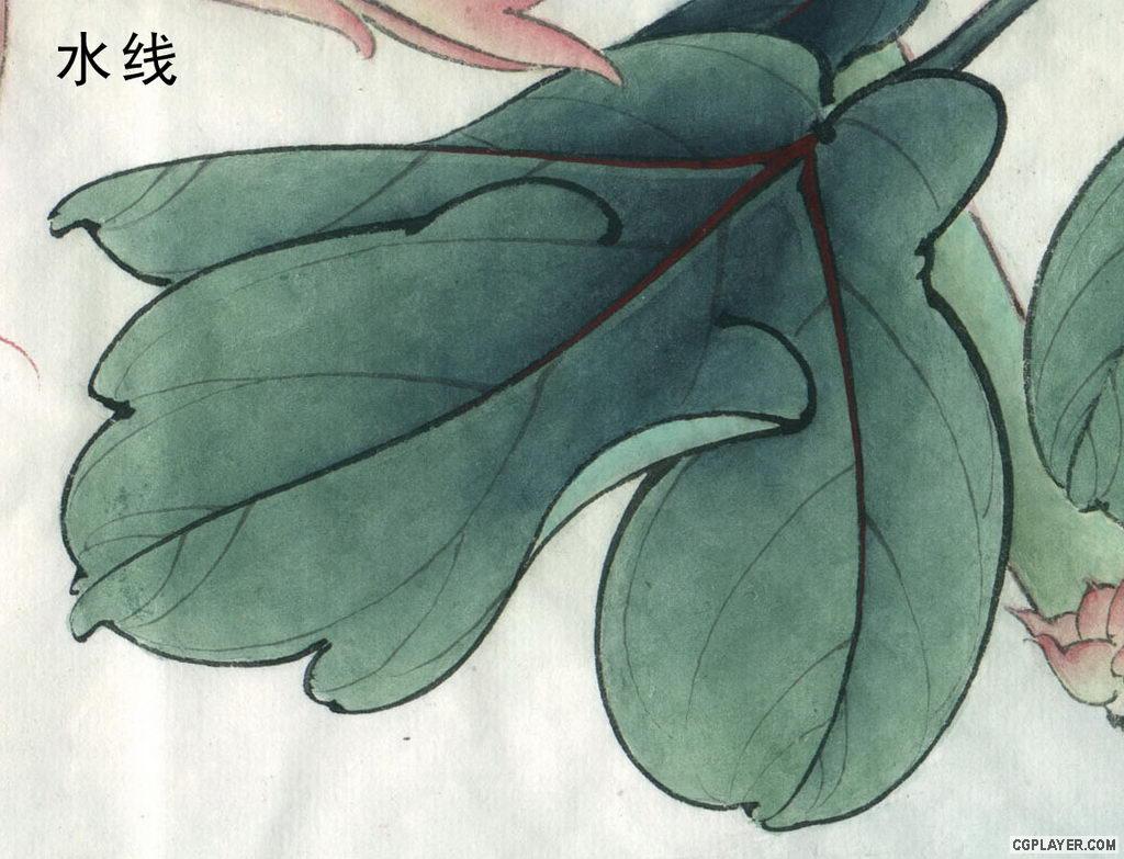 工笔画不同技法 转载